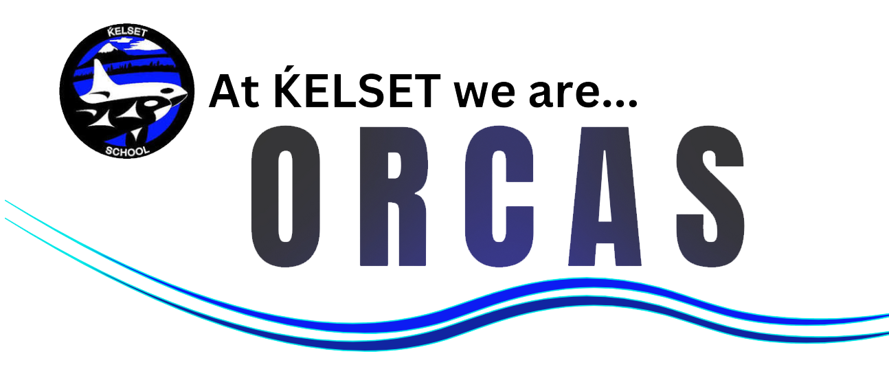 At KELSET we are... ORCAS