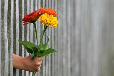 giving flowers