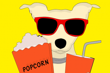 Dog with sunglasses, popcorn, and a drink.