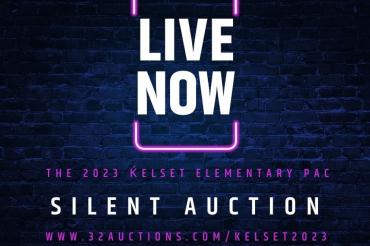 Live Now Silent Auction Picture