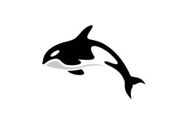orca